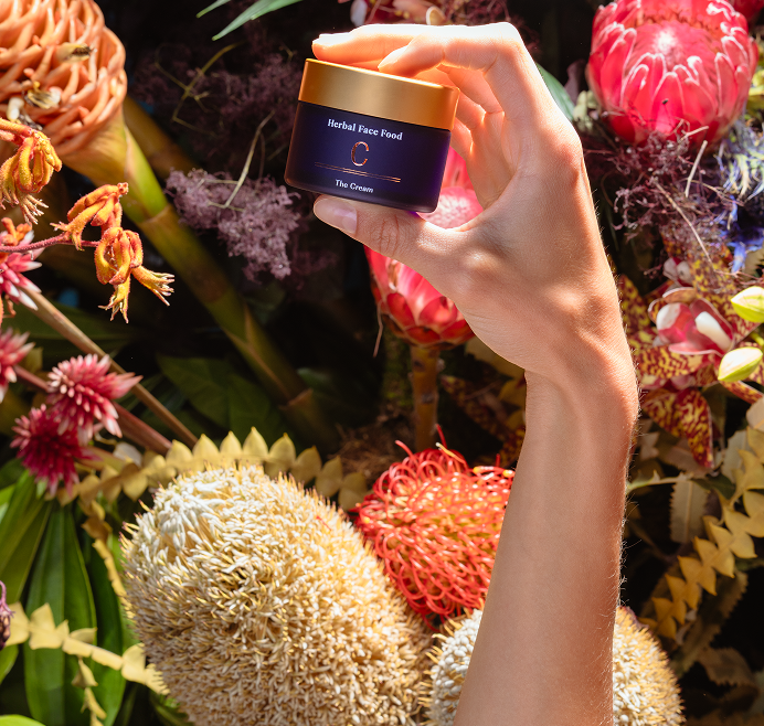 6925eda91680363bd67371a8_Recta